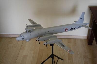 Модель самолетов Ил-38 масштабная модель