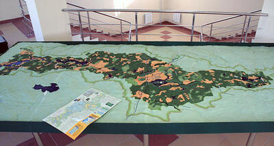 Объемный макет ландшафта национального парка «Валдайский» масштабная модель